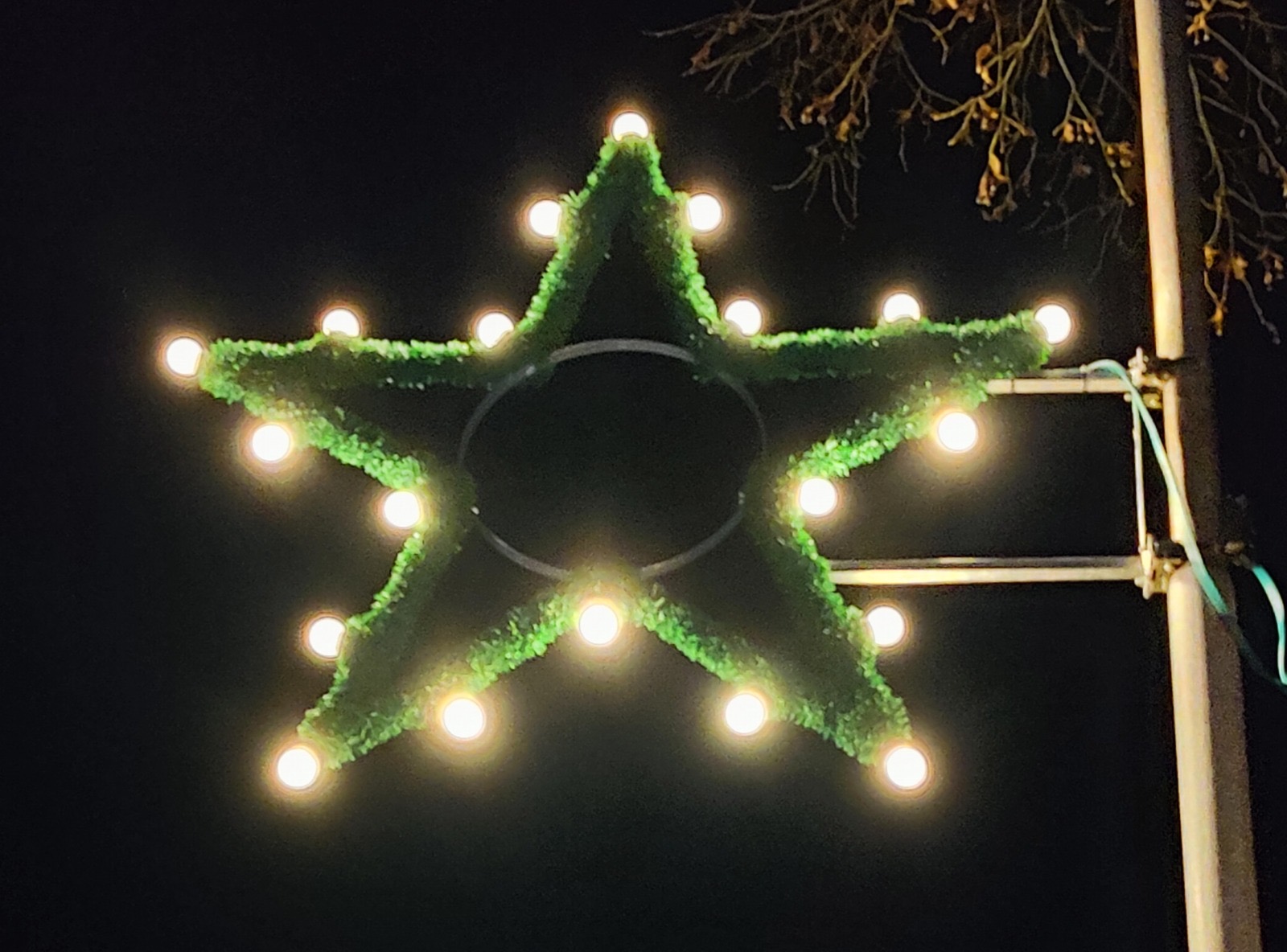 Bild zu Weihnachtssterne