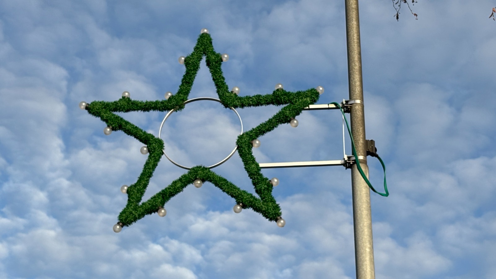 Bild zu Weihnachtssterne